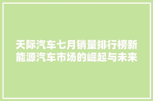 天际汽车七月销量排行榜新能源汽车市场的崛起与未来展望 混合动力车