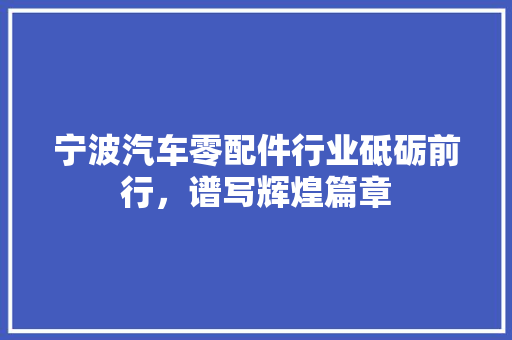 宁波汽车零配件行业砥砺前行，谱写辉煌篇章