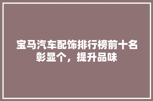 宝马汽车配饰排行榜前十名彰显个，提升品味 汽车保养
