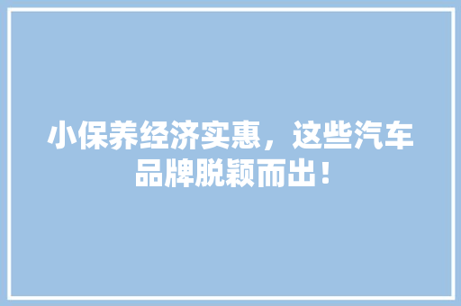 小保养经济实惠，这些汽车品牌脱颖而出！