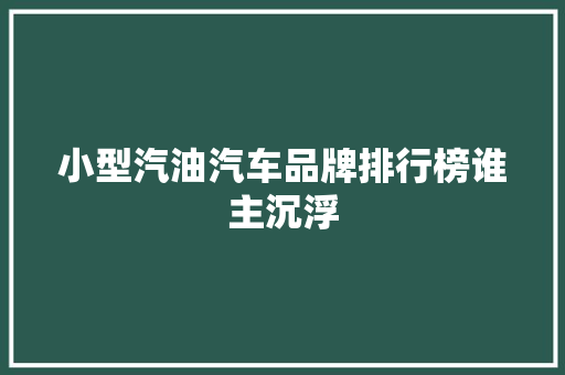 小型汽油汽车品牌排行榜谁主沉浮