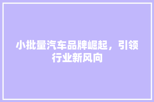 小批量汽车品牌崛起，引领行业新风向
