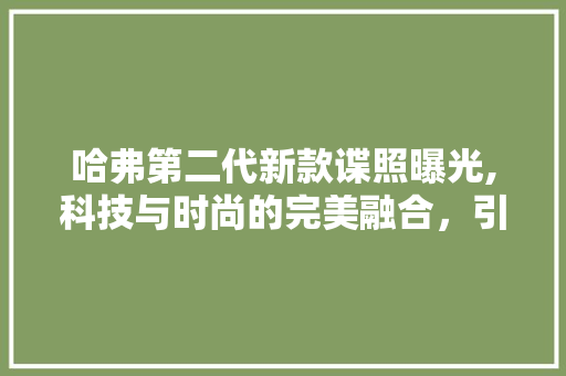 哈弗第二代新款谍照曝光,科技与时尚的完美融合，引领SUV市场新潮流