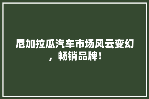 尼加拉瓜汽车市场风云变幻，畅销品牌！