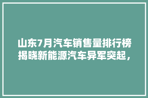 山东7月汽车销售量排行榜揭晓新能源汽车异军突起，传统车企如何应对