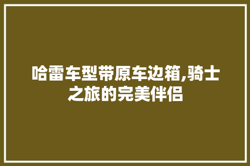 哈雷车型带原车边箱,骑士之旅的完美伴侣 智能驾驶