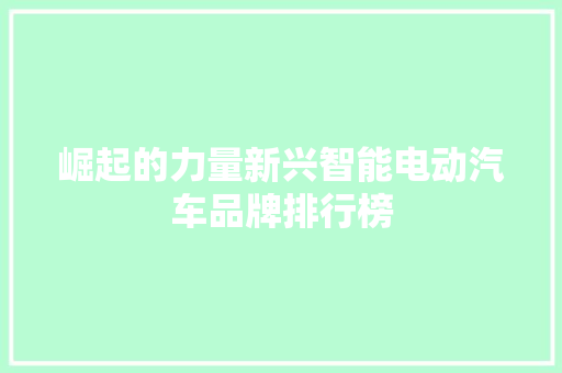 崛起的力量新兴智能电动汽车品牌排行榜