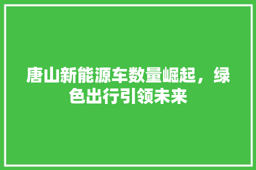 唐山新能源车数量崛起，绿色出行引领未来