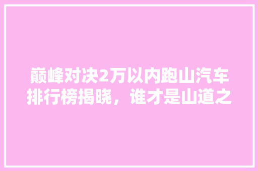 巅峰对决2万以内跑山汽车排行榜揭晓，谁才是山道之王