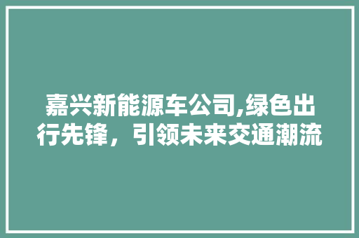 嘉兴新能源车公司,绿色出行先锋，引领未来交通潮流