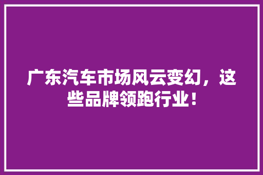 广东汽车市场风云变幻，这些品牌领跑行业！ 车联网技术