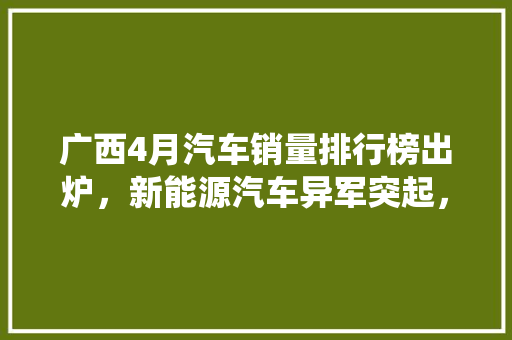 广西4月汽车销量排行榜出炉，新能源汽车异军突起，传统燃油车面临挑战 汽车保养
