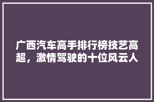 广西汽车高手排行榜技艺高超，激情驾驶的十位风云人物