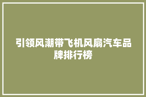 引领风潮带飞机风扇汽车品牌排行榜