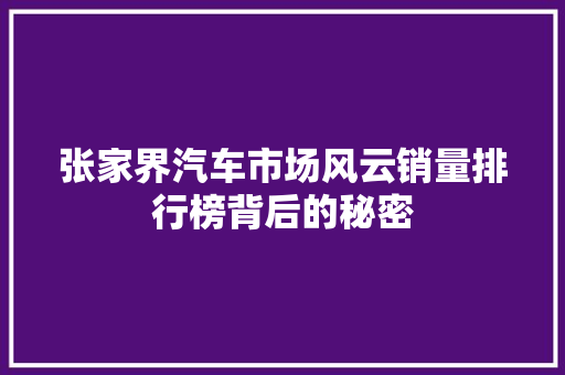 张家界汽车市场风云销量排行榜背后的秘密