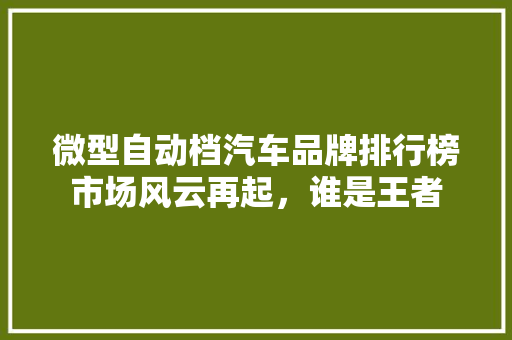 微型自动档汽车品牌排行榜市场风云再起，谁是王者