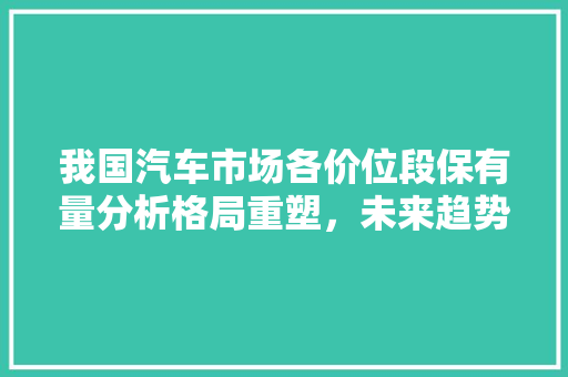我国汽车市场各价位段保有量分析格局重塑，未来趋势展望