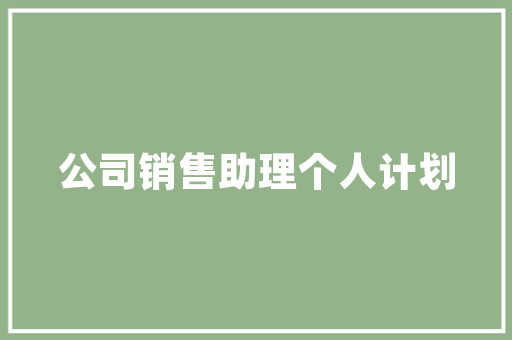 手动挡汽车大气排行榜探寻驾驶艺术与能巅峰