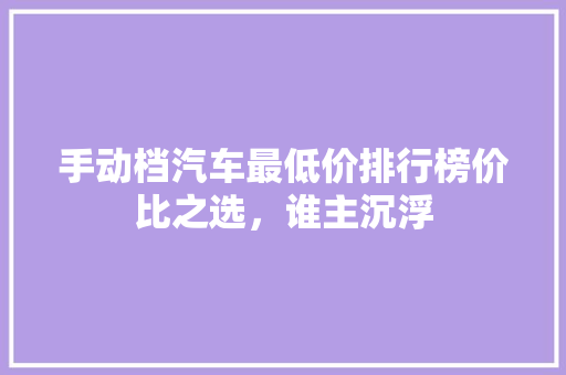 手动档汽车最低价排行榜价比之选，谁主沉浮