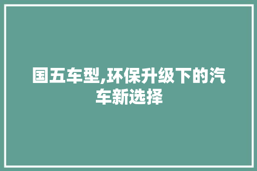 国五车型,环保升级下的汽车新选择