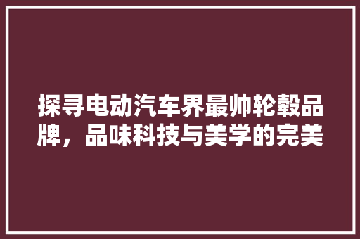 探寻电动汽车界最帅轮毂品牌，品味科技与美学的完美融合