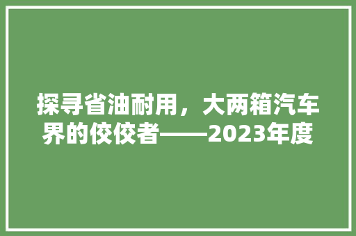 探寻省油耐用，大两箱汽车界的佼佼者——2023年度排行榜解读