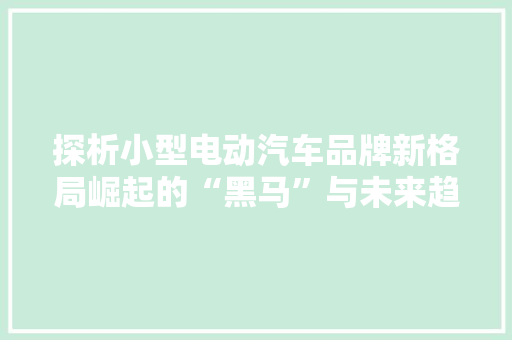 探析小型电动汽车品牌新格局崛起的“黑马”与未来趋势