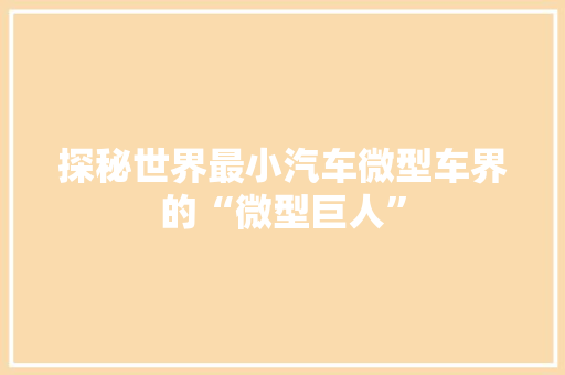 探秘世界最小汽车微型车界的“微型巨人”