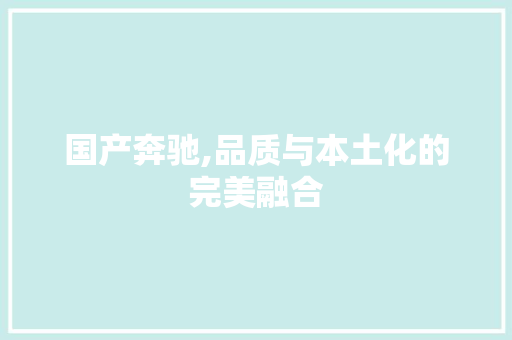 国产奔驰,品质与本土化的完美融合 汽车展览