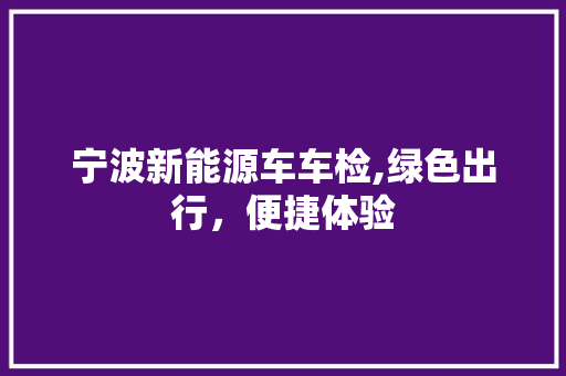宁波新能源车车检,绿色出行，便捷体验