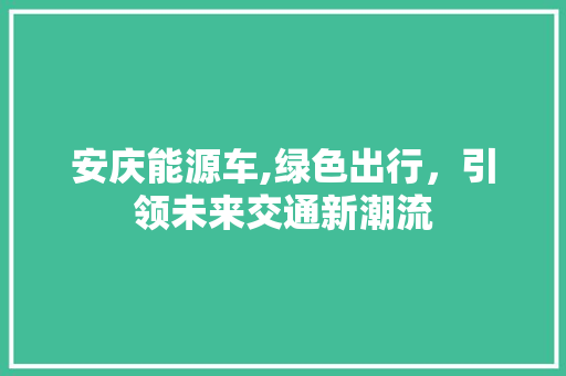 安庆能源车,绿色出行，引领未来交通新潮流