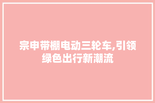 宗申带棚电动三轮车,引领绿色出行新潮流