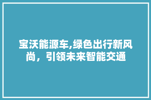 宝沃能源车,绿色出行新风尚，引领未来智能交通 汽车配件