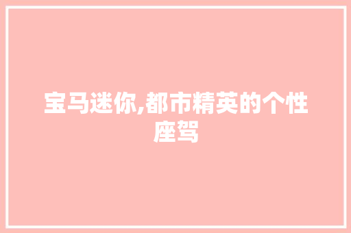 宝马迷你,都市精英的个性座驾