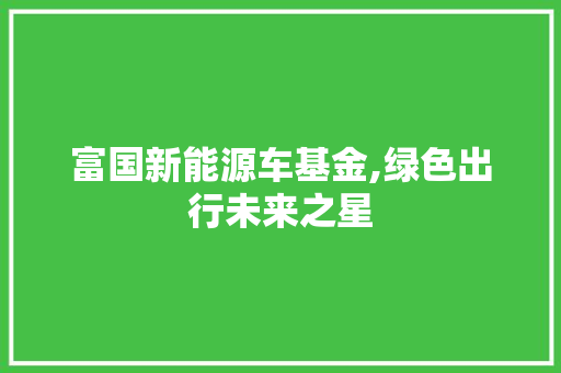 富国新能源车基金,绿色出行未来之星 新车资讯