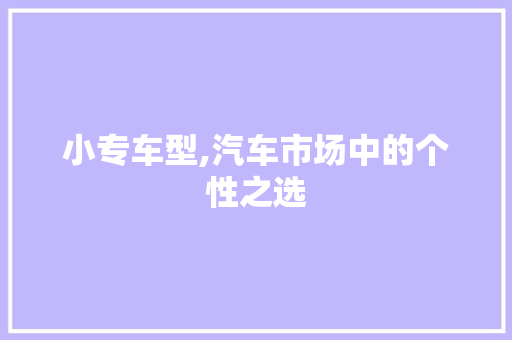小专车型,汽车市场中的个性之选