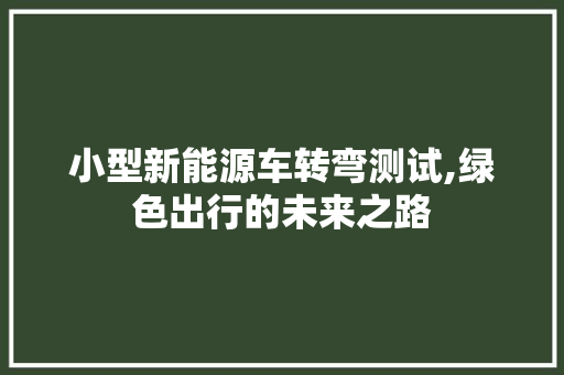 小型新能源车转弯测试,绿色出行的未来之路 车载导航
