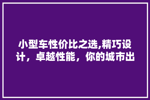小型车性价比之选,精巧设计，卓越性能，你的城市出行新伙伴