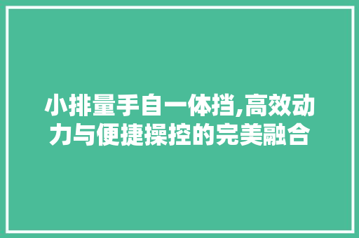 小排量手自一体挡,高效动力与便捷操控的完美融合