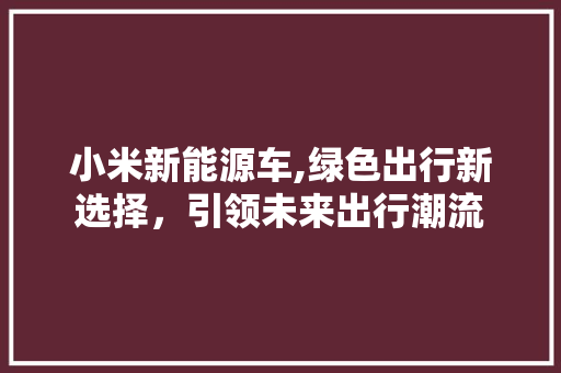 小米新能源车,绿色出行新选择，引领未来出行潮流 汽车保养