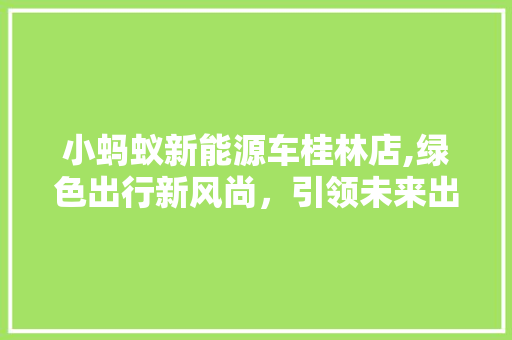 小蚂蚁新能源车桂林店,绿色出行新风尚，引领未来出行潮流 新能源汽车