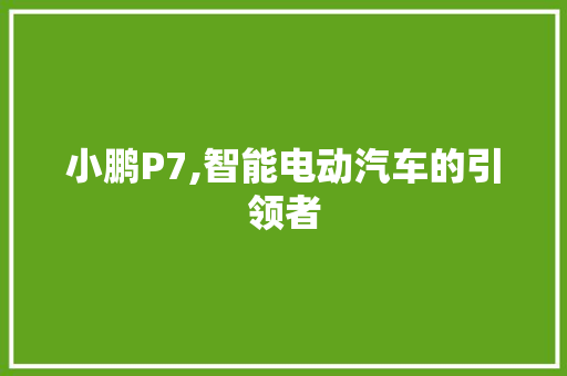 小鹏P7,智能电动汽车的引领者 自动驾驶