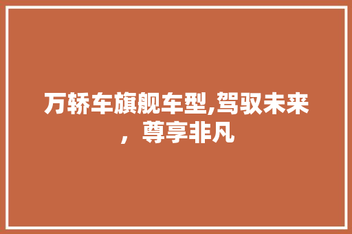 万轿车旗舰车型,驾驭未来，尊享非凡