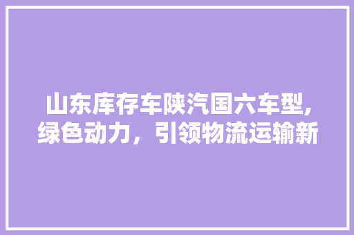 山东库存车陕汽国六车型,绿色动力，引领物流运输新潮流