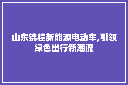山东锦程新能源电动车,引领绿色出行新潮流