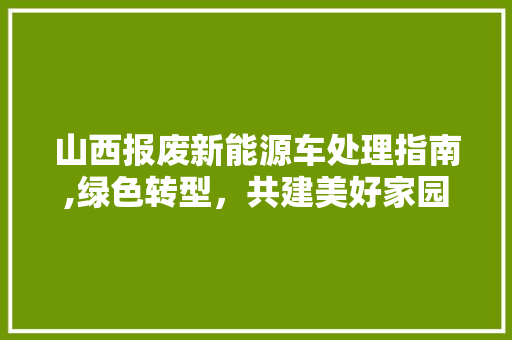 山西报废新能源车处理指南,绿色转型，共建美好家园