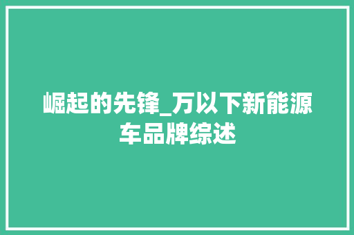 崛起的先锋_万以下新能源车品牌综述 车联网技术