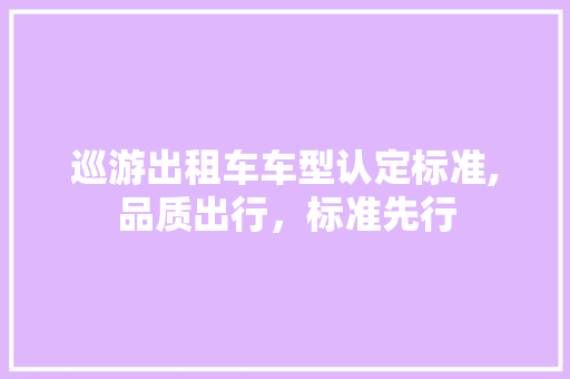 巡游出租车车型认定标准,品质出行，标准先行