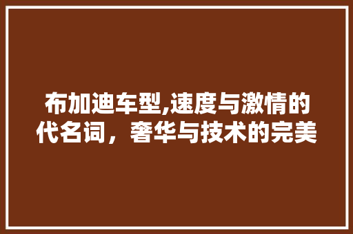 布加迪车型,速度与激情的代名词，奢华与技术的完美融合