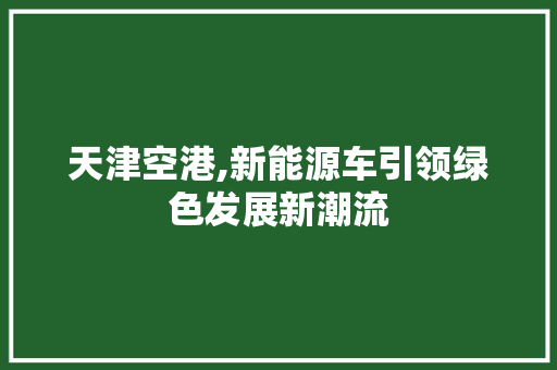 天津空港,新能源车引领绿色发展新潮流